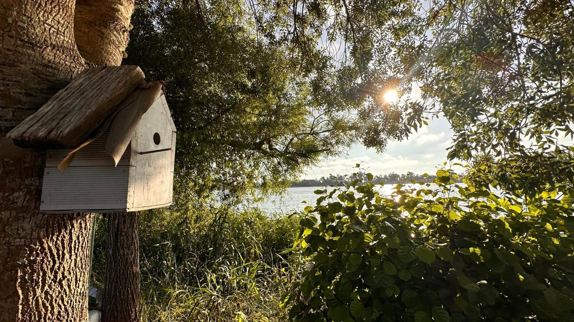 Casa Do Areal, Refugio Das Rotas Pedestres Em Mira Мира Екстериор снимка